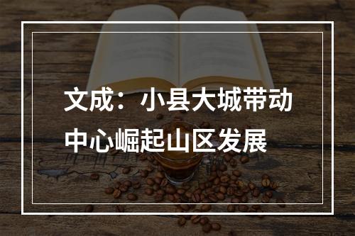 文成：小县大城带动中心崛起山区发展
