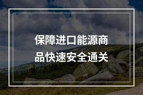 保障进口能源商品快速安全通关