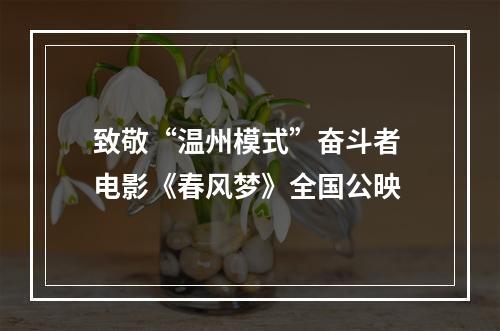致敬“温州模式”奋斗者 电影《春风梦》全国公映