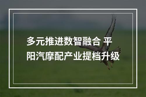 多元推进数智融合 平阳汽摩配产业提档升级