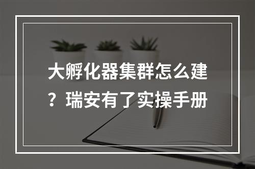 大孵化器集群怎么建？瑞安有了实操手册