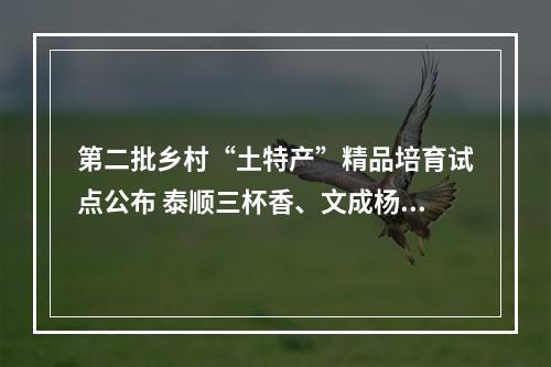 第二批乡村“土特产”精品培育试点公布 泰顺三杯香、文成杨梅入选