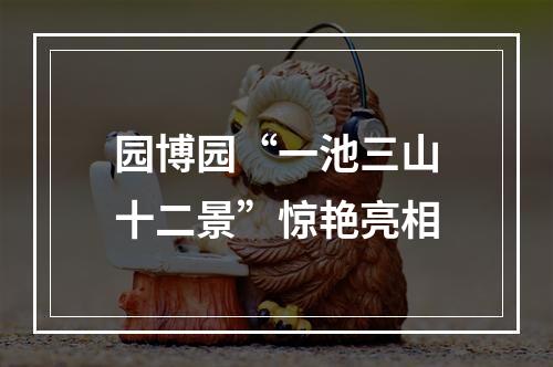 园博园“一池三山十二景”惊艳亮相