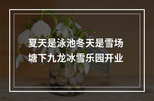 夏天是泳池冬天是雪场 塘下九龙冰雪乐园开业