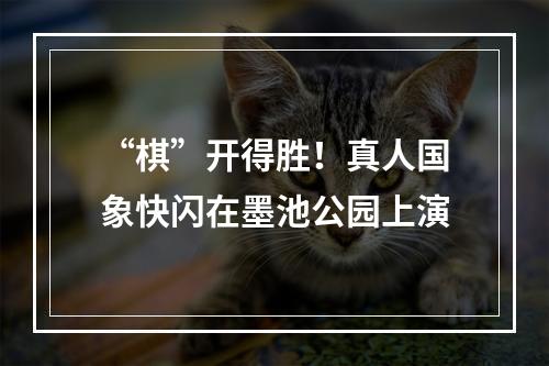 “棋”开得胜！真人国象快闪在墨池公园上演