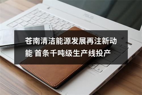 苍南清洁能源发展再注新动能 首条千吨级生产线投产