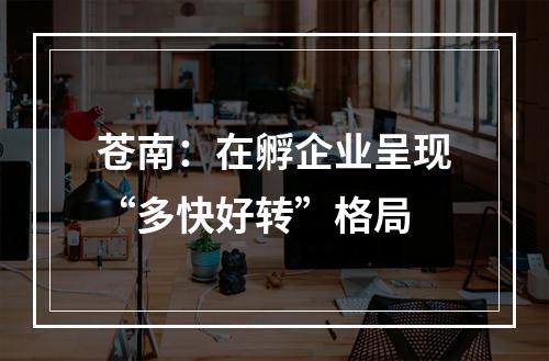 苍南：在孵企业呈现“多快好转”格局