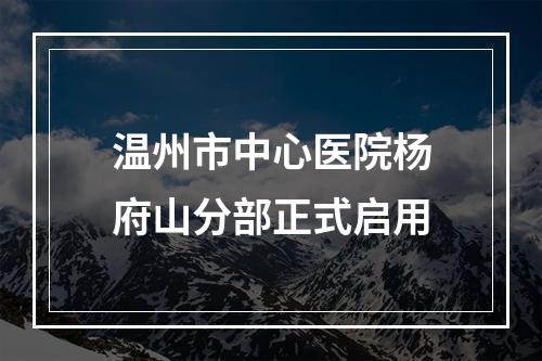 温州市中心医院杨府山分部正式启用