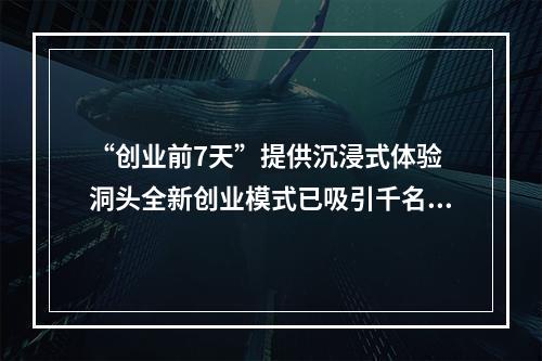 “创业前7天”提供沉浸式体验 洞头全新创业模式已吸引千名青年人才回流