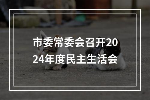 市委常委会召开2024年度民主生活会