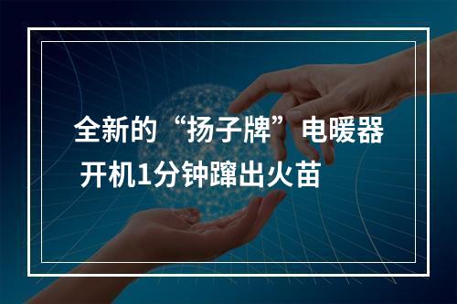 全新的“扬子牌”电暖器 开机1分钟蹿出火苗