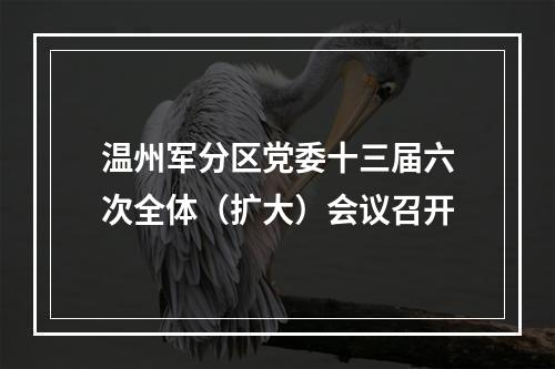 温州军分区党委十三届六次全体（扩大）会议召开
