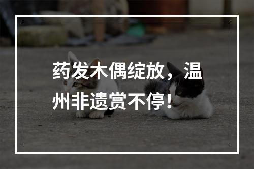 药发木偶绽放，温州非遗赏不停！