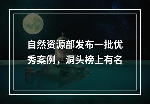 自然资源部发布一批优秀案例，洞头榜上有名