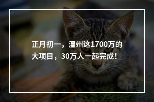 正月初一，温州这1700万的大项目，30万人一起完成！