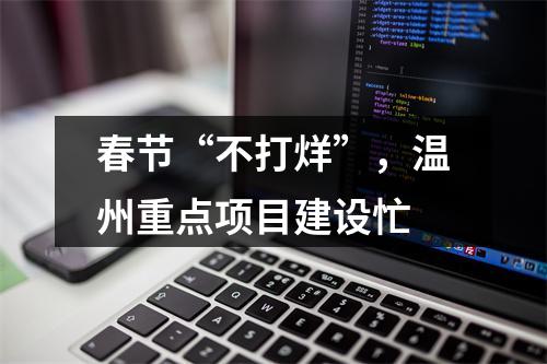 春节“不打烊”，温州重点项目建设忙