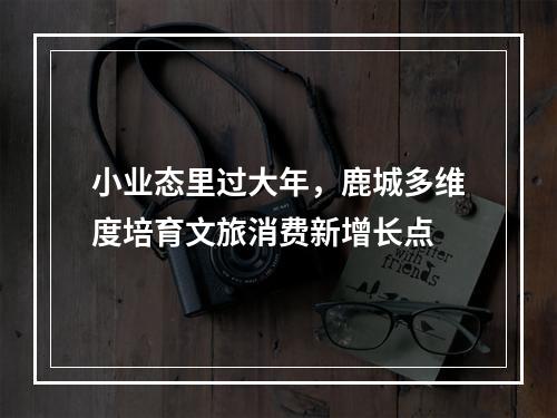 小业态里过大年，鹿城多维度培育文旅消费新增长点