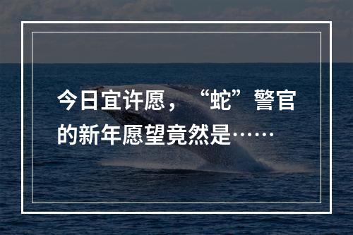 今日宜许愿，“蛇”警官的新年愿望竟然是……
