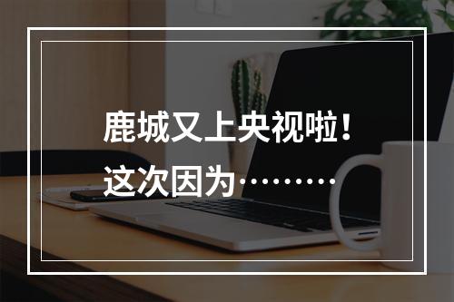 鹿城又上央视啦！这次因为………