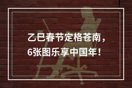 乙巳春节定格苍南，6张图乐享中国年！