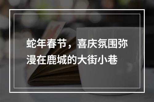 蛇年春节，喜庆氛围弥漫在鹿城的大街小巷