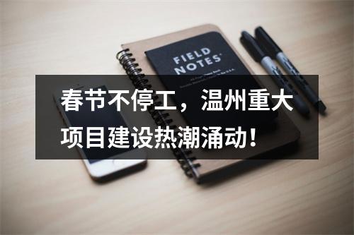 春节不停工，温州重大项目建设热潮涌动！