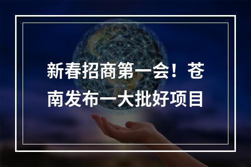 新春招商第一会！苍南发布一大批好项目