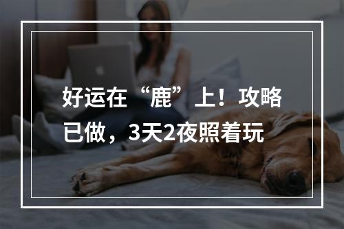 好运在“鹿”上！攻略已做，3天2夜照着玩