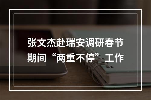 张文杰赴瑞安调研春节期间“两重不停”工作