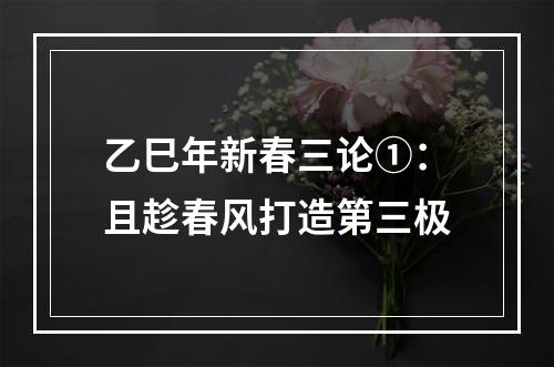 乙巳年新春三论①：且趁春风打造第三极