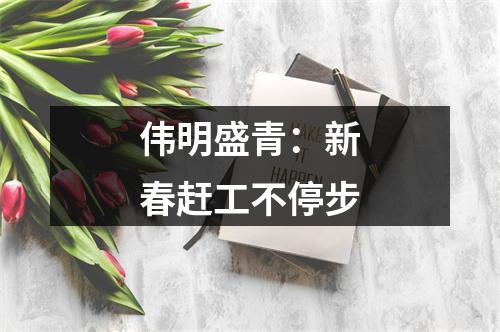 伟明盛青：新春赶工不停步