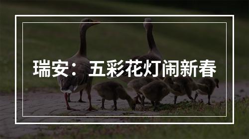 瑞安：五彩花灯闹新春