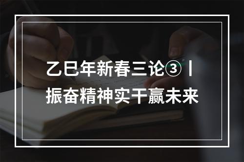 乙巳年新春三论③丨振奋精神实干赢未来