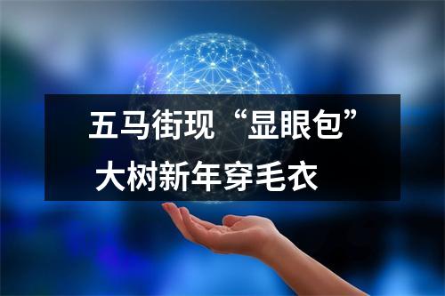 五马街现“显眼包” 大树新年穿毛衣
