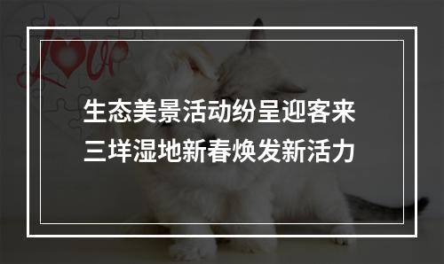 生态美景活动纷呈迎客来 三垟湿地新春焕发新活力