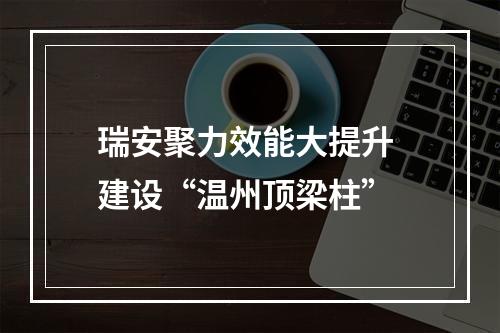 瑞安聚力效能大提升 建设“温州顶梁柱”