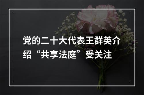 党的二十大代表王群英介绍“共享法庭”受关注