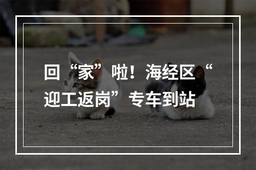 回“家”啦！海经区“迎工返岗”专车到站
