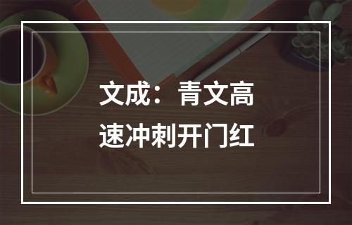 文成：青文高速冲刺开门红