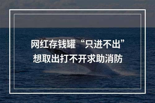网红存钱罐“只进不出” 想取出打不开求助消防