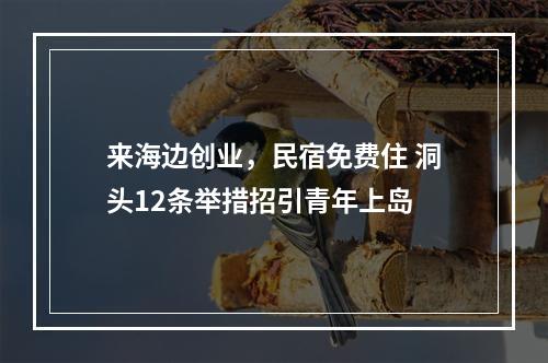 来海边创业，民宿免费住 洞头12条举措招引青年上岛