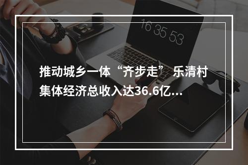 推动城乡一体“齐步走” 乐清村集体经济总收入达36.6亿元