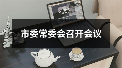 市委常委会召开会议