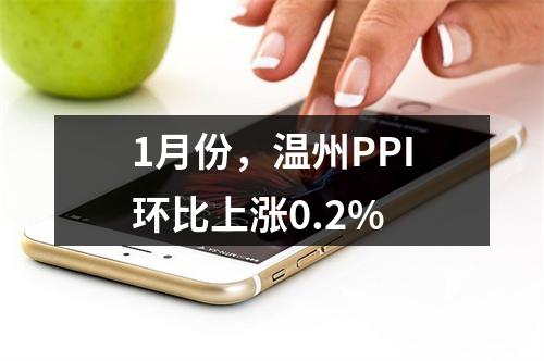 1月份，温州PPI环比上涨0.2%