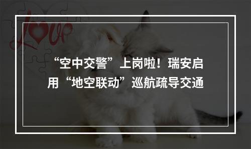 “空中交警”上岗啦！瑞安启用“地空联动”巡航疏导交通