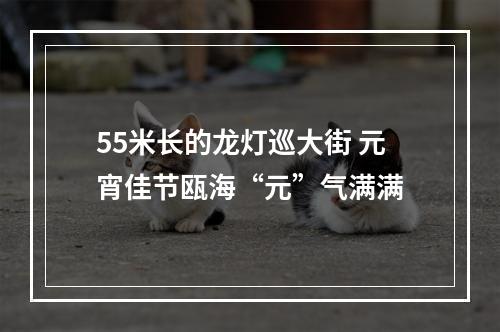 55米长的龙灯巡大街 元宵佳节瓯海“元”气满满