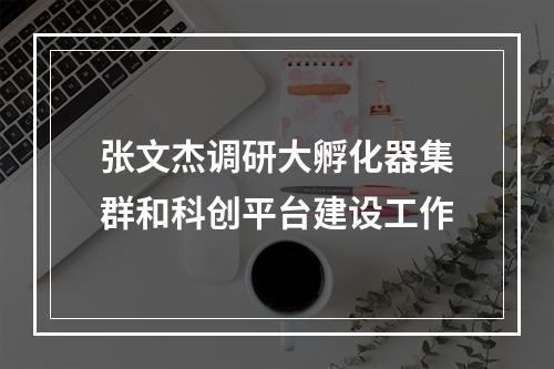 张文杰调研大孵化器集群和科创平台建设工作