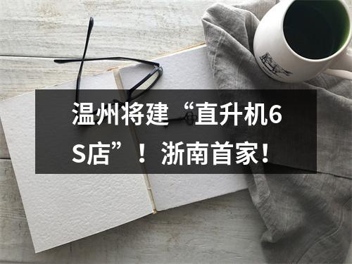 温州将建“直升机6S店”！浙南首家！