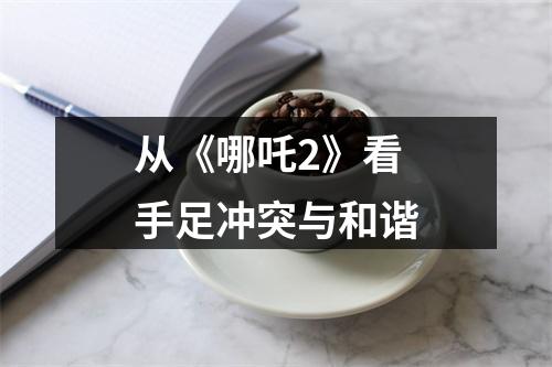 从《哪吒2》看手足冲突与和谐