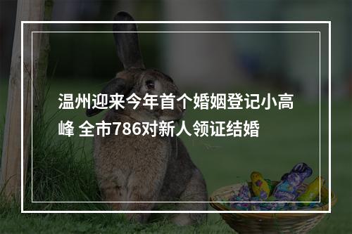 温州迎来今年首个婚姻登记小高峰 全市786对新人领证结婚
